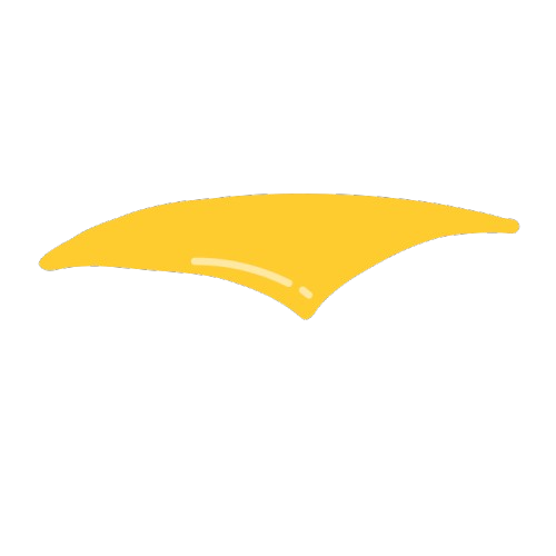Cheese